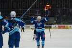 Gólové oslavy hokejistov TSS GROUP Dubnica.