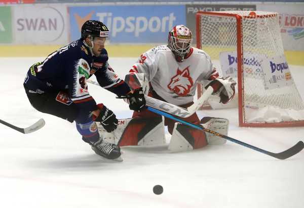 Gfbh dgbhfcg hcf ghgf.