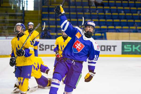 Slovenský hokejista Alex Mišiak.