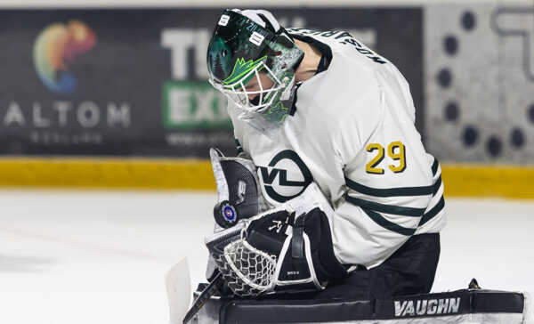 Brankár Andrej Košarišťan (Žilina).