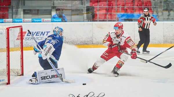 Buncis v drese Prešova.