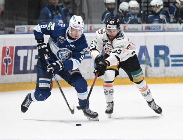 Hugo Kováč (Nitra) a Tomáš Mikúš (Košice). Hugo Kováč (Nitra) a Tomáš Mikúš (Košice).