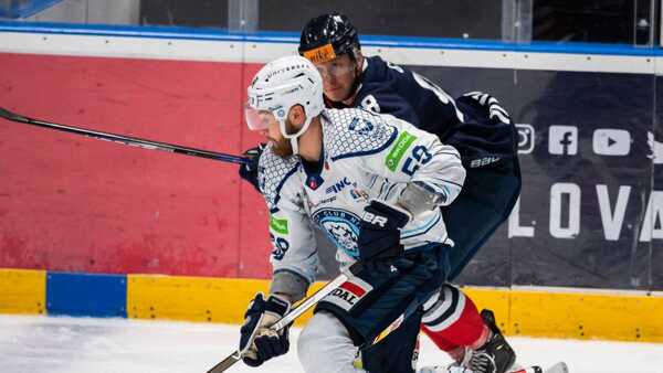 Elmer v drese nitry.