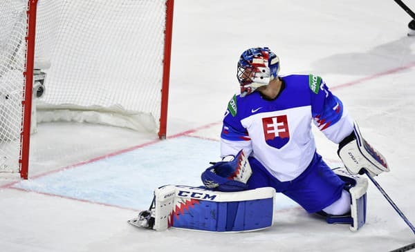 Brankár Július Hudáček.