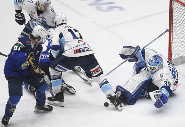 Český brankár Libor Kašík.