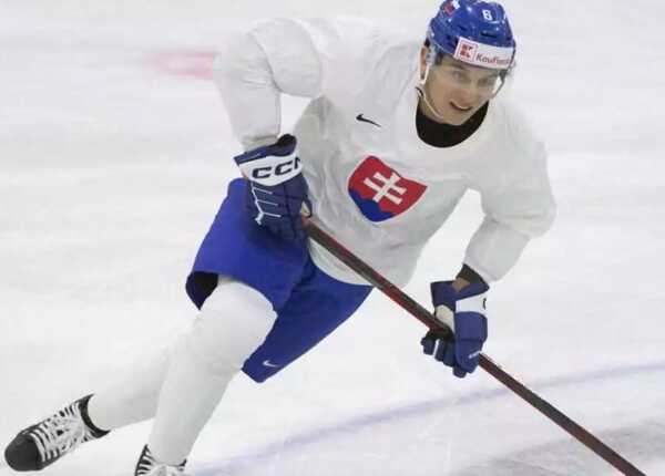 Slovenský hokejista Martin Féherváry.