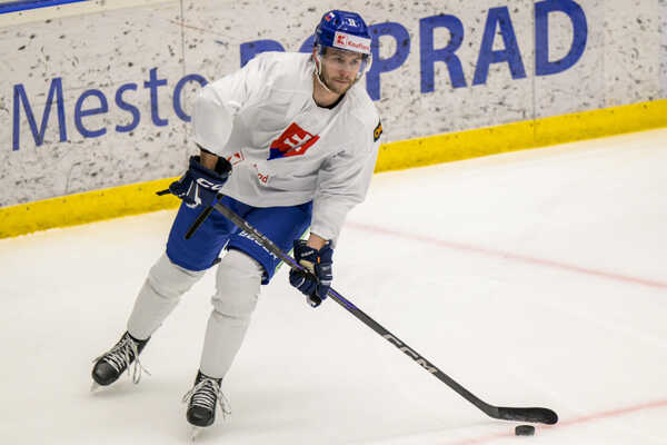 Obranca Rayen Petrovický.