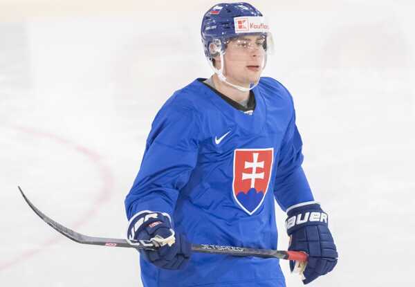 Nemec v drese Slovenska.